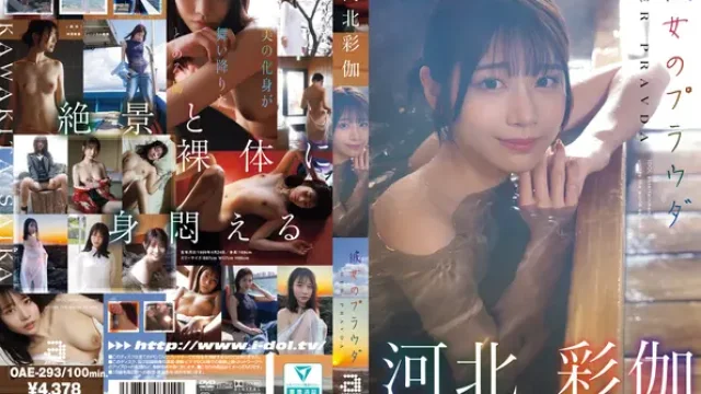 OAE-293 · 她的真理 河北彩伽