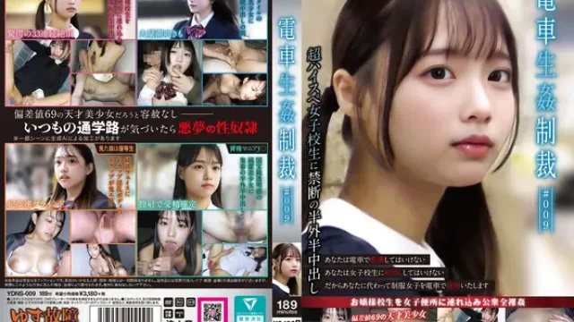YDNS-009 · Train Raw Rape Punishment #009