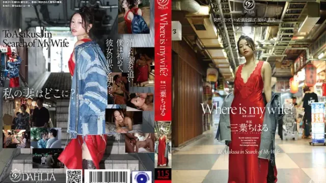 DLDSS-566 · Where Is My Wife? Chiharu Mitsuha